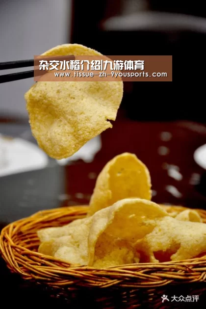 杂交水稻介绍|九游体育(图3) 九游体育