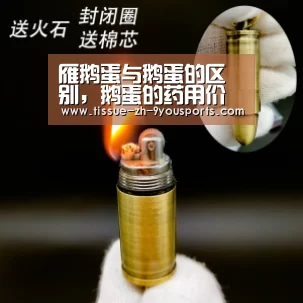 雁鹅蛋与鹅蛋的区别，鹅蛋的药用价值有哪些？_九游体育