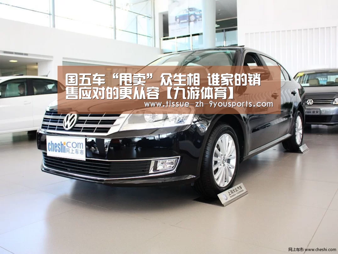 国五车“甩卖”众生相 谁家的销售应对的更